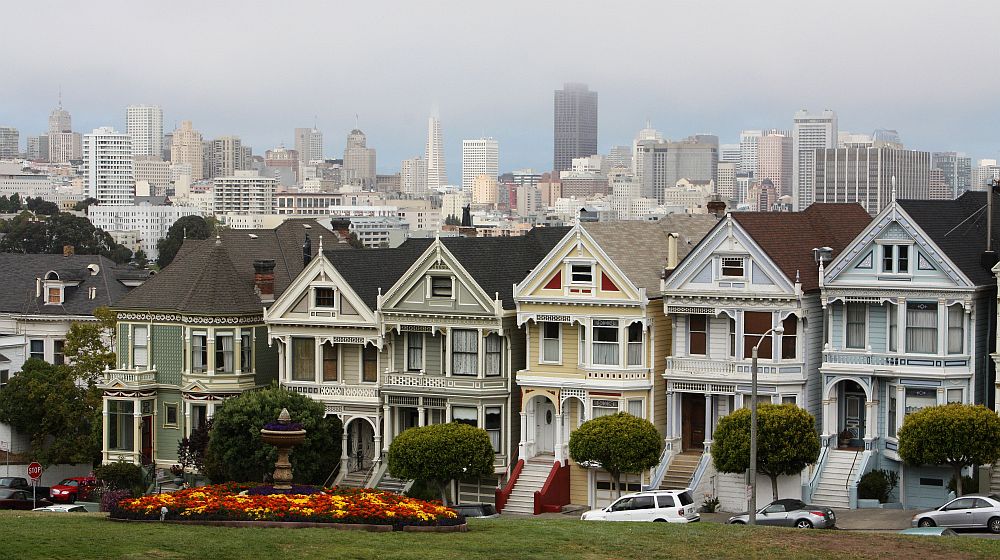 "Painted Ladies"