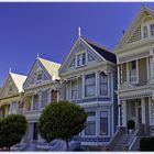 Painted Ladies