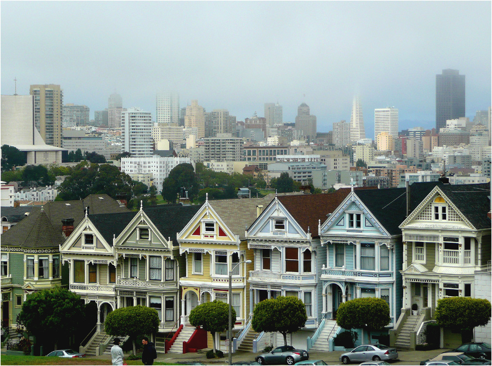 Painted Ladies ...