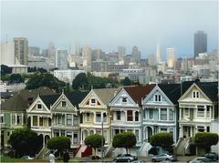 Painted Ladies ...