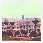 Painted Ladies