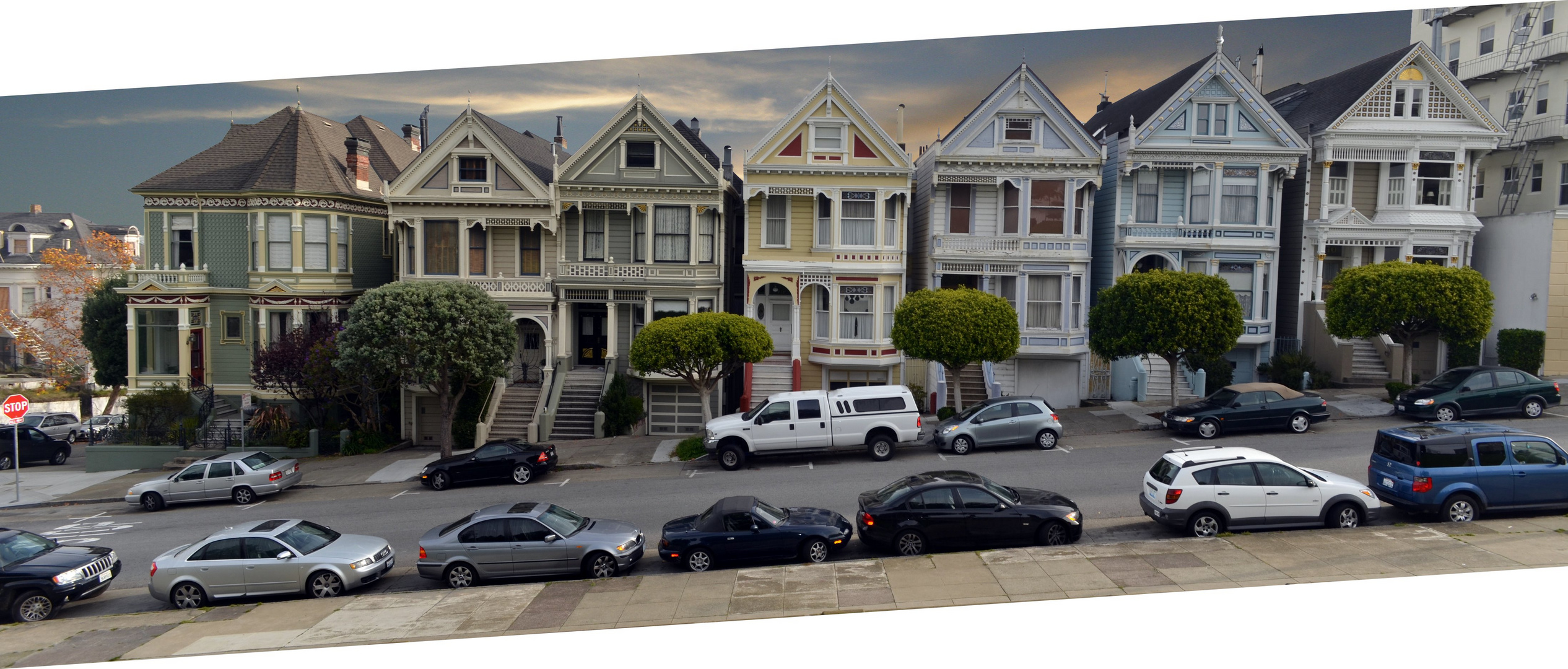 Painted Ladies