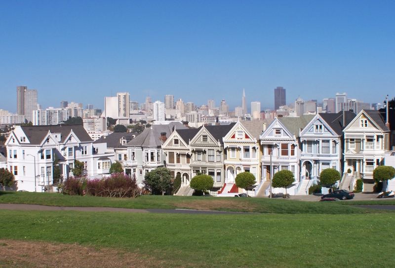 Painted Ladies