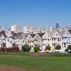 Painted Ladies