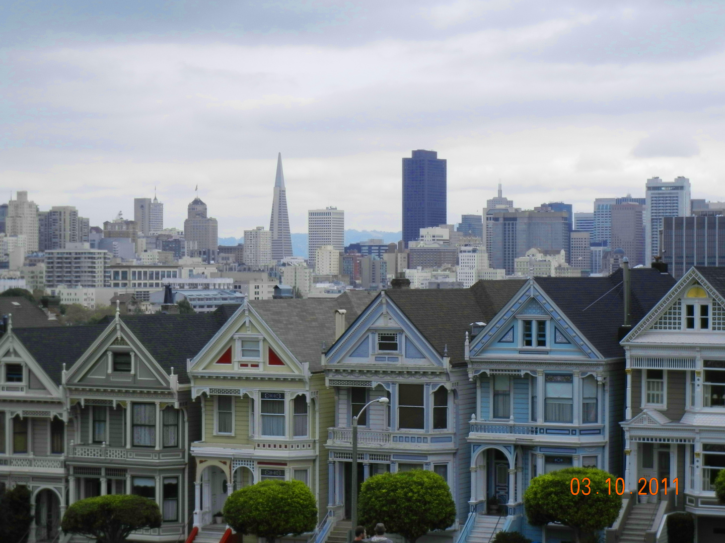 Painted Ladies