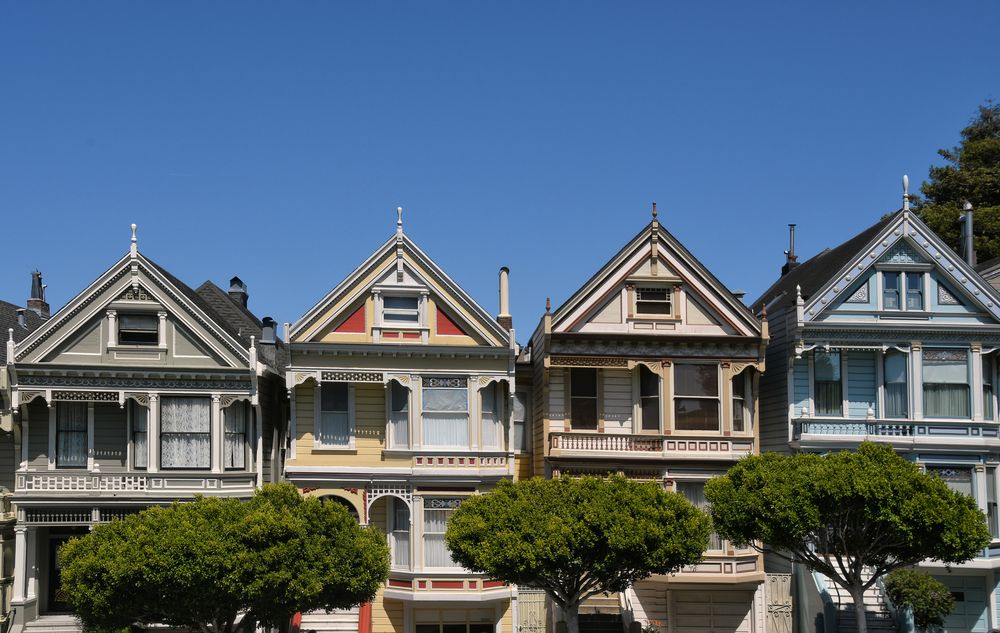 painted ladies