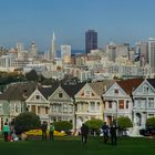 Painted Ladies