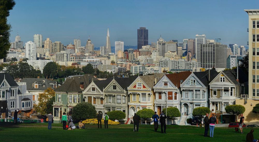 Painted Ladies