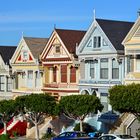 Painted Ladies