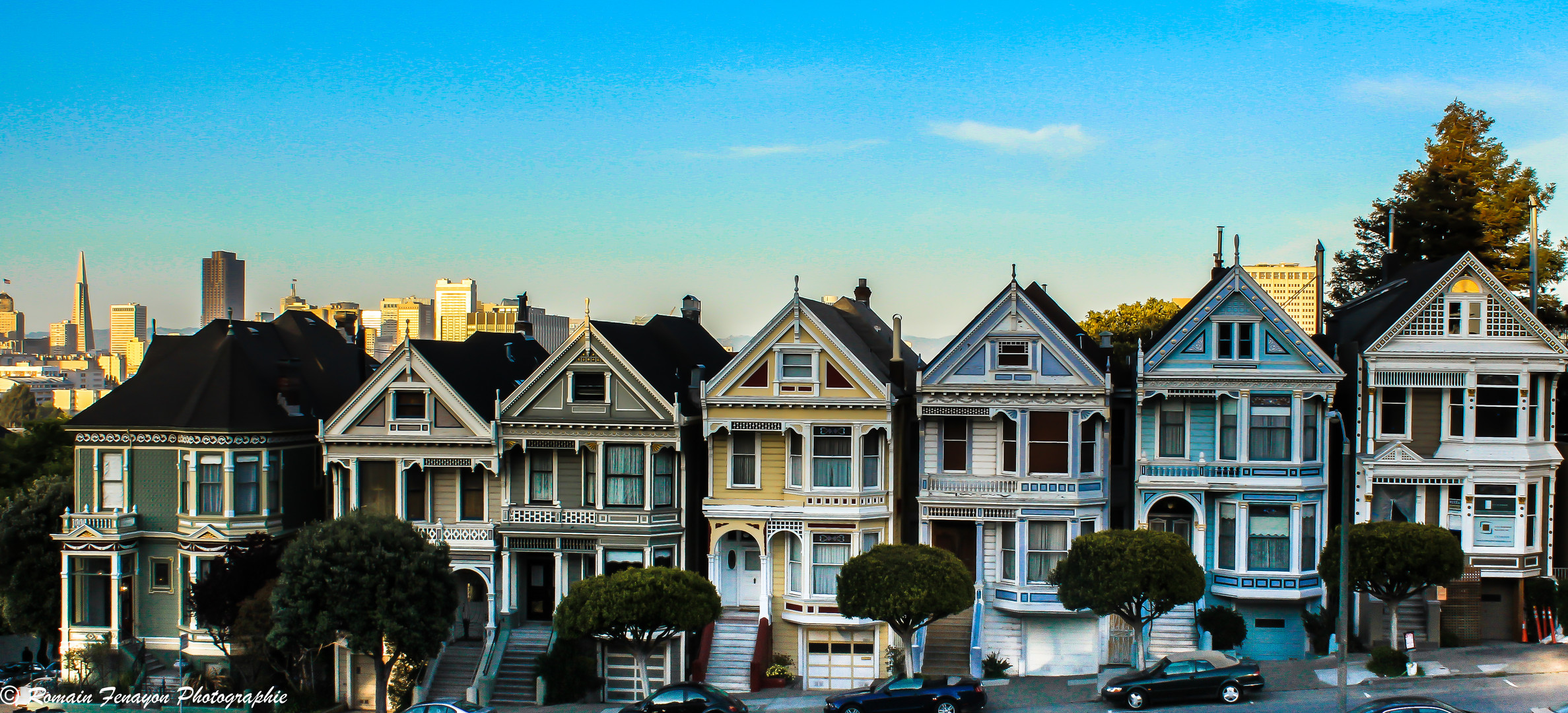 PAINTED LADIES