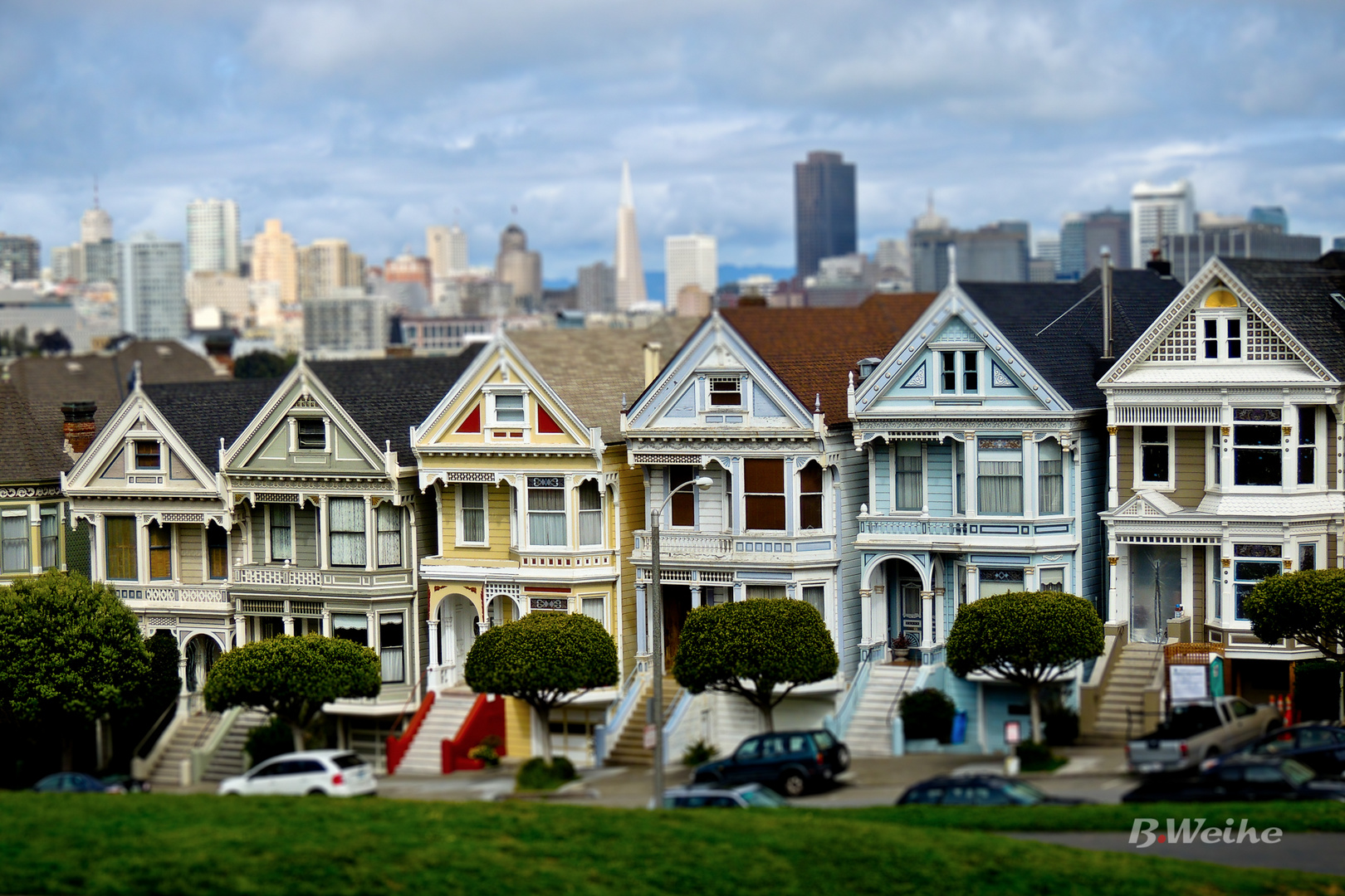 Painted Ladies