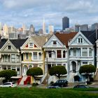 Painted Ladies