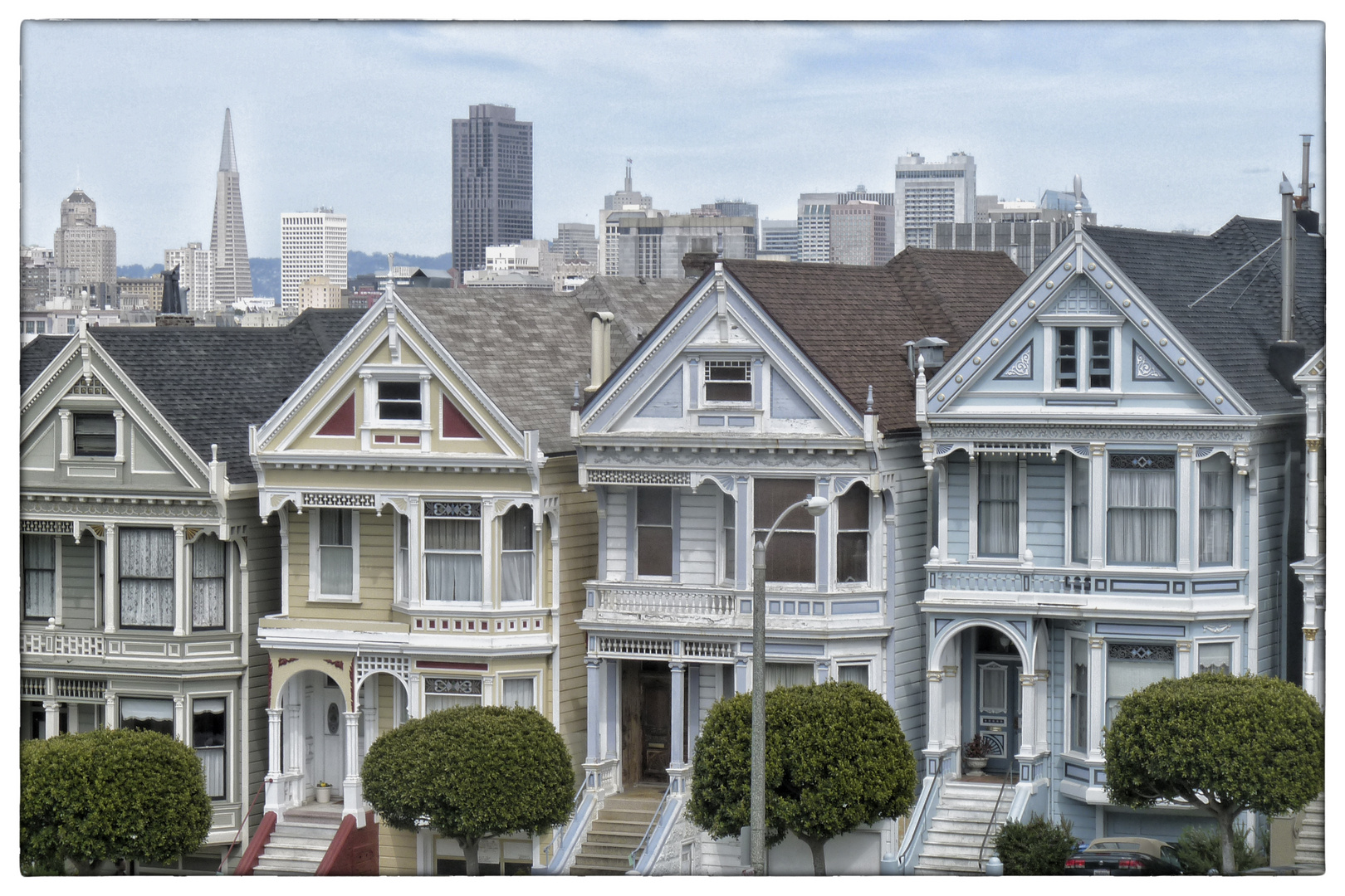 Painted Ladies