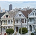 Painted Ladies