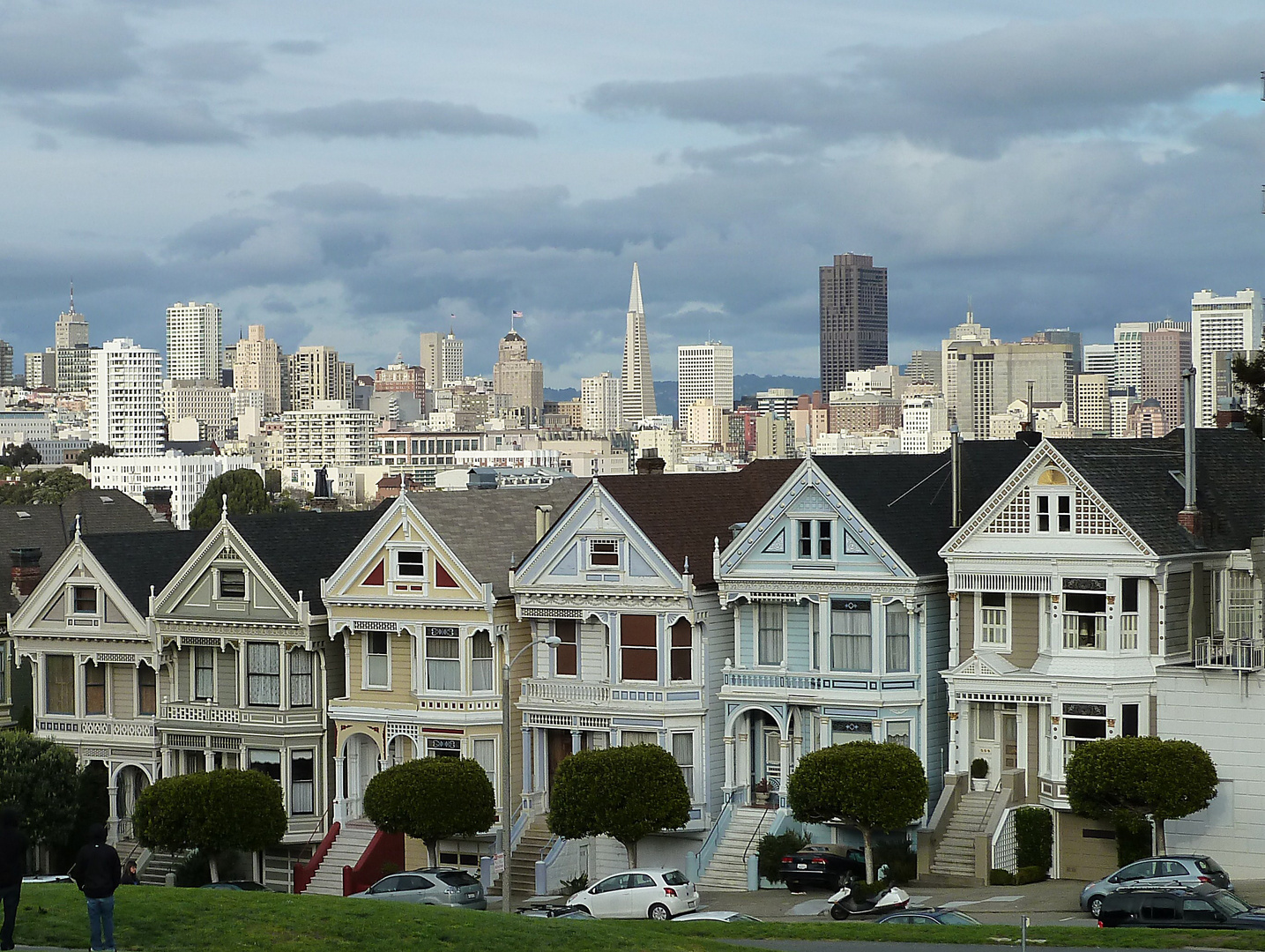 Painted Ladies