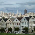 Painted Ladies