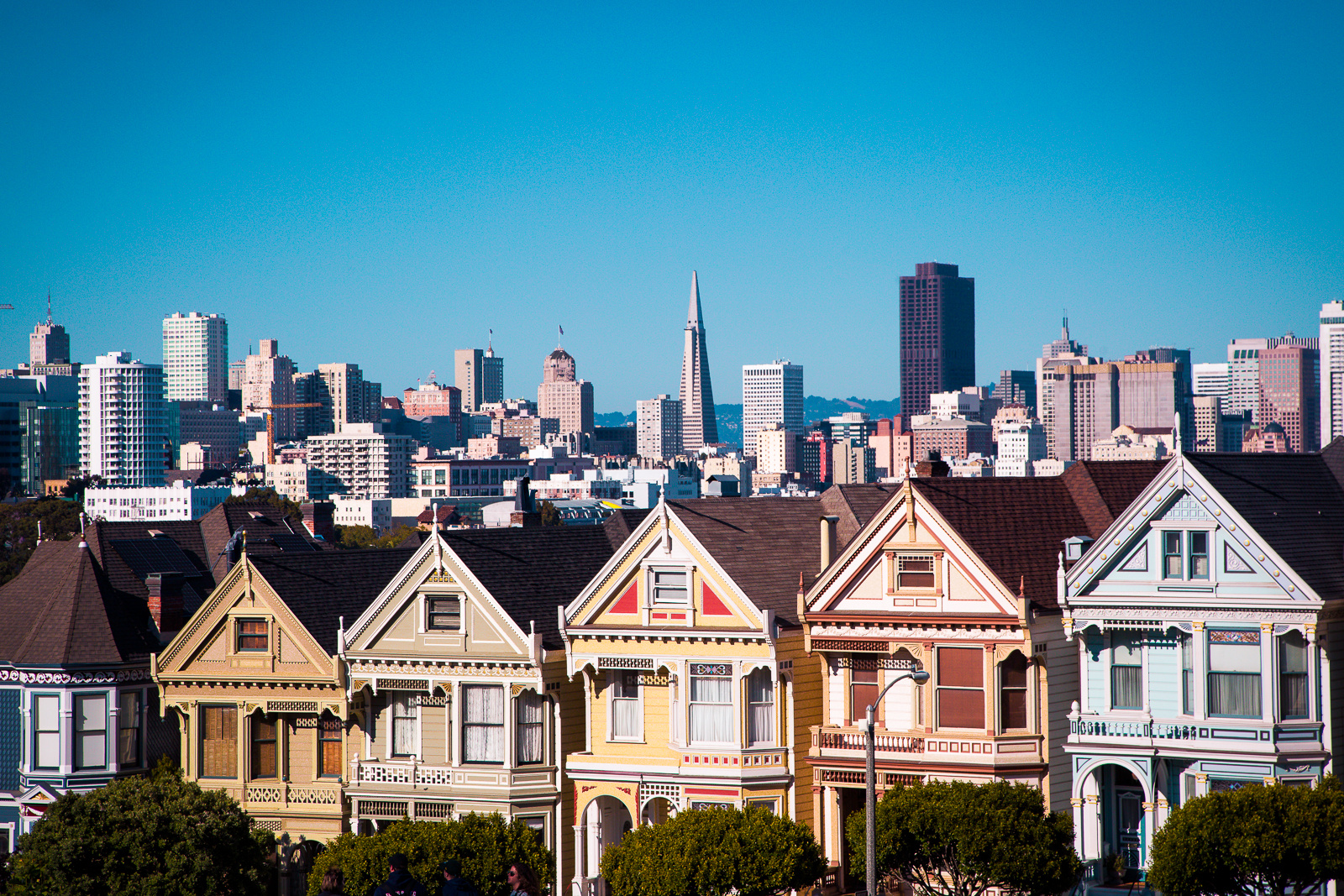 Painted Ladies