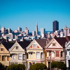 Painted Ladies