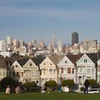 Painted Ladies