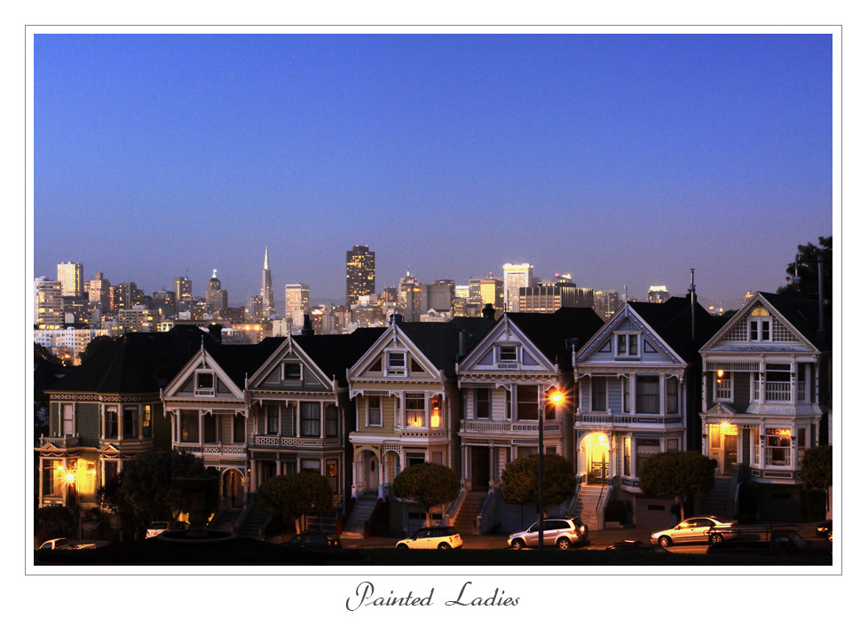 Painted Ladies