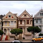 Painted ladies