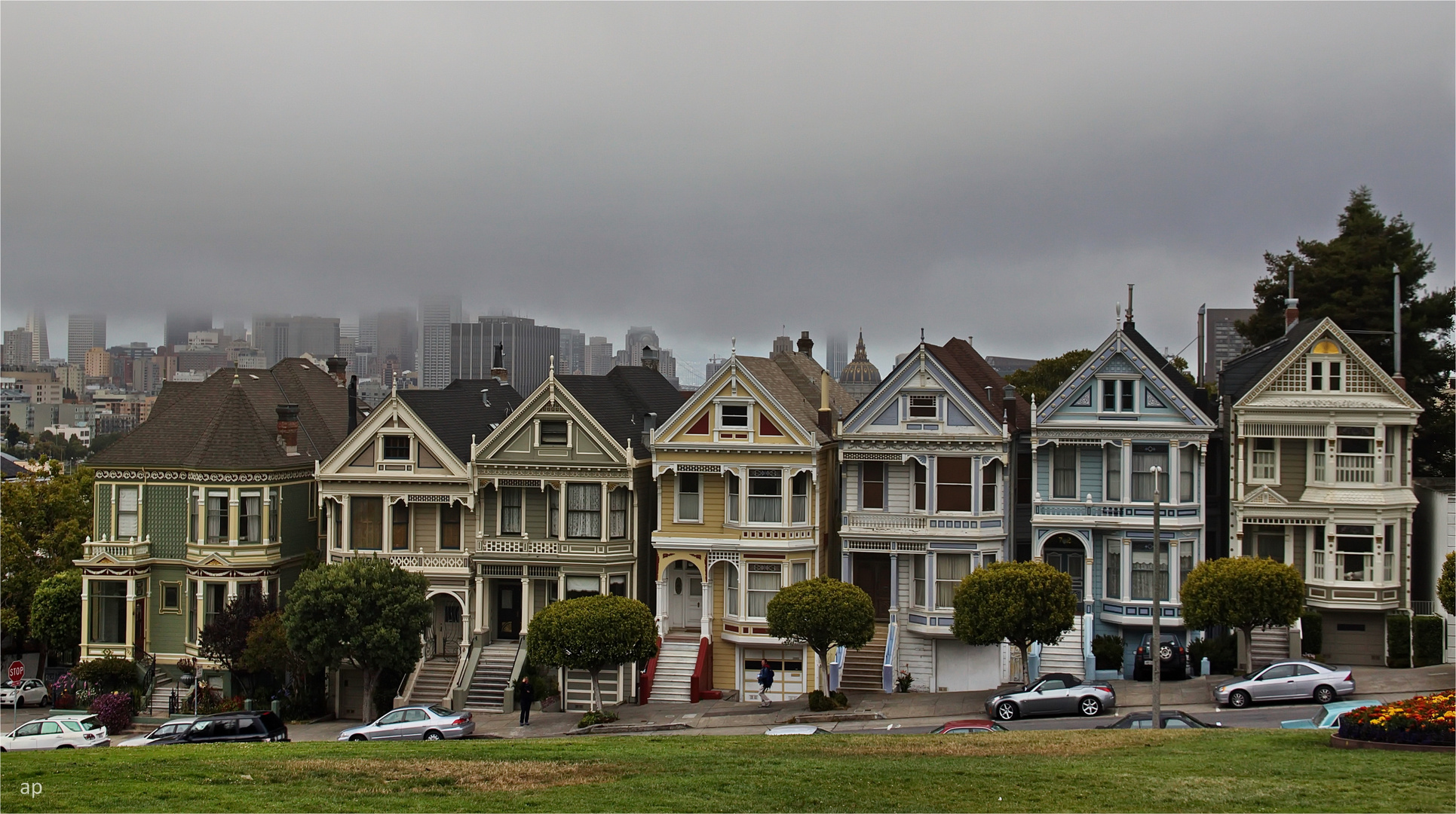 Painted Ladies