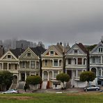 Painted Ladies