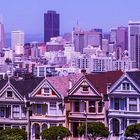 Painted Ladies