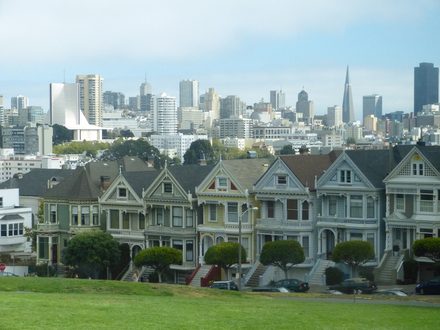 Painted Ladies