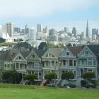 Painted Ladies