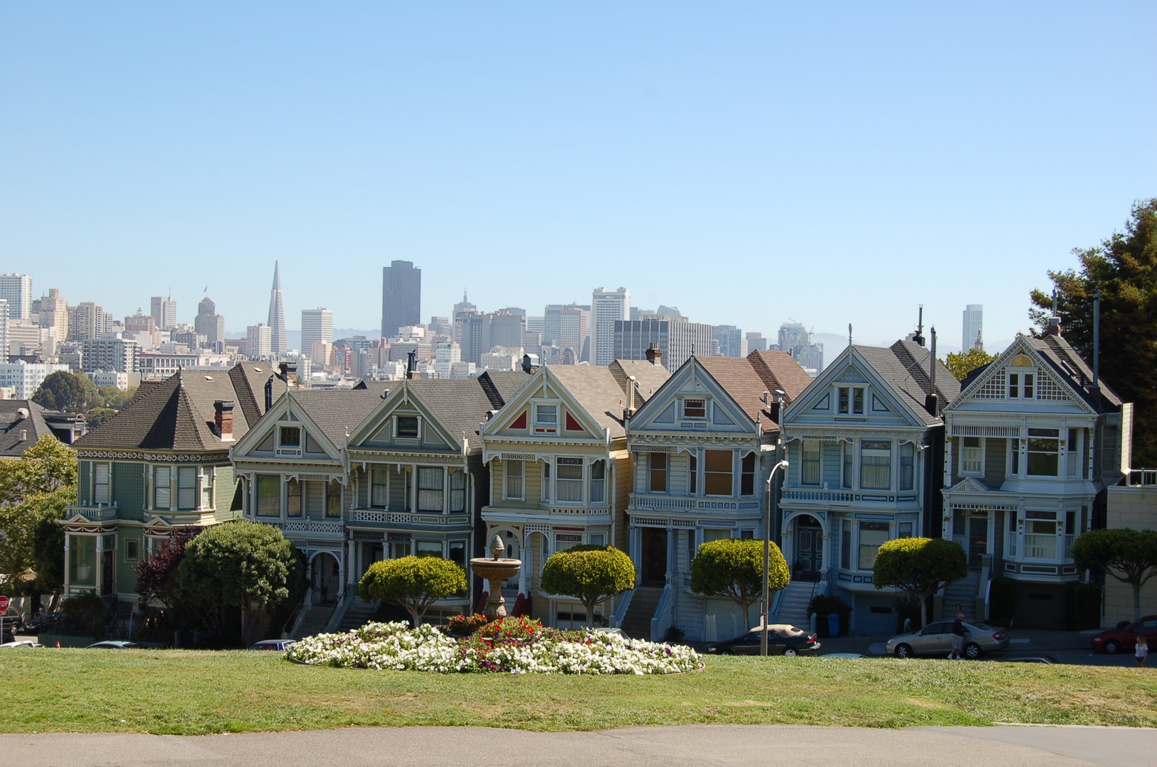 Painted Ladies