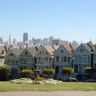 Painted Ladies