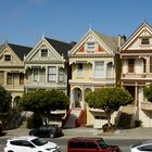 Painted Ladies am Tag