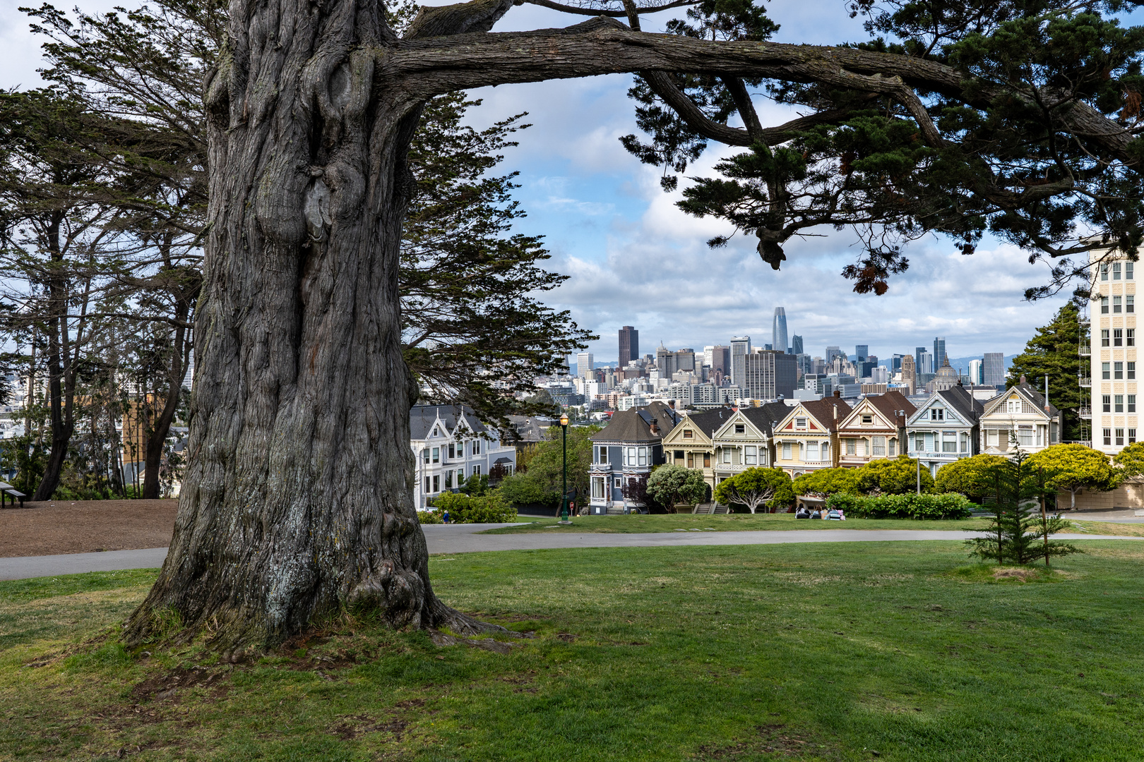 Painted Ladies at Alamo Square - San Francisco