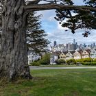 Painted Ladies at Alamo Square - San Francisco