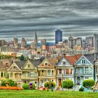 Painted Ladies