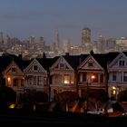 Painted Ladies