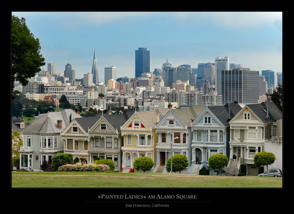 »Painted Ladies«