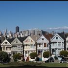 Painted Ladies