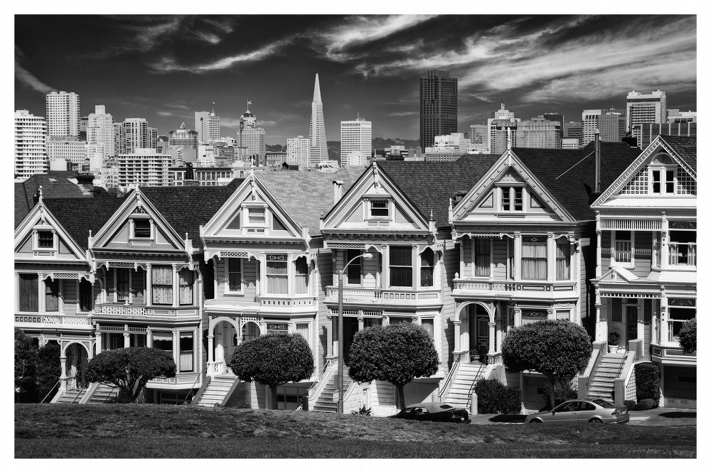 Painted Ladies Black & White