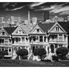 Painted Ladies Black & White