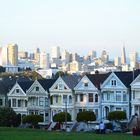 Painted Ladies