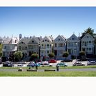 painted ladies