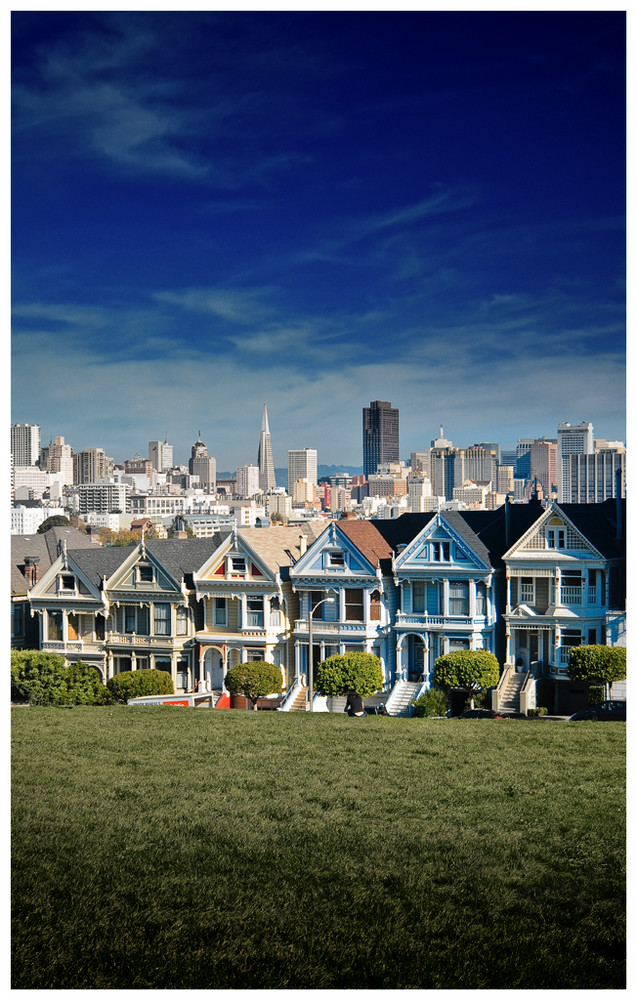 Painted Ladies