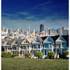 Painted Ladies