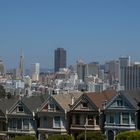 Painted Ladies