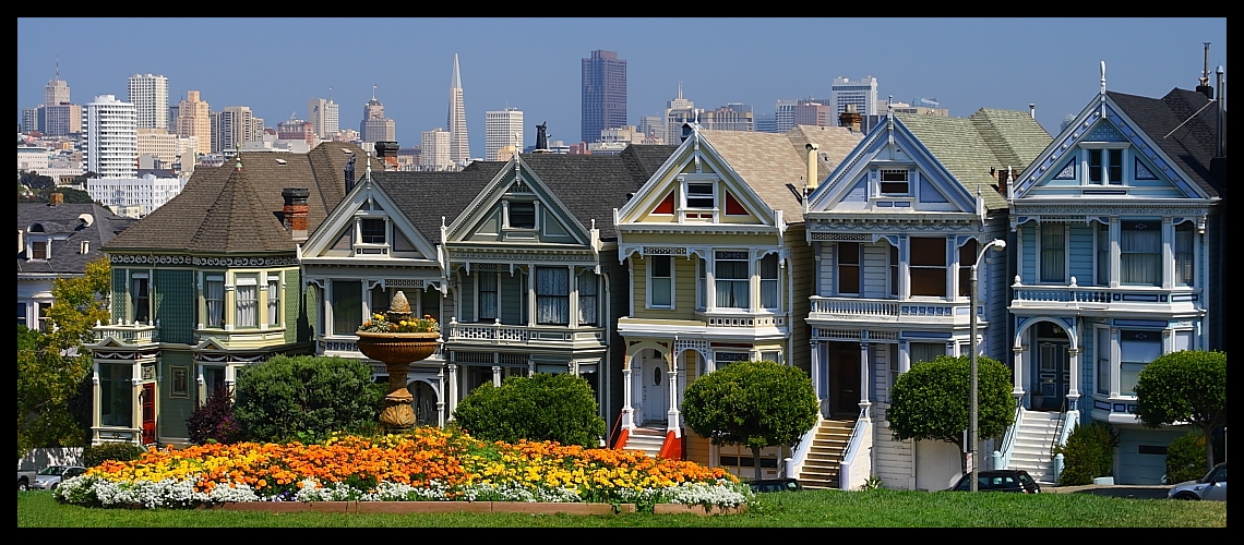 Painted Ladies