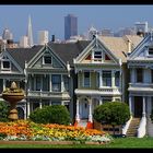 Painted Ladies