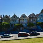 Painted Ladies