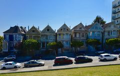 Painted Ladies